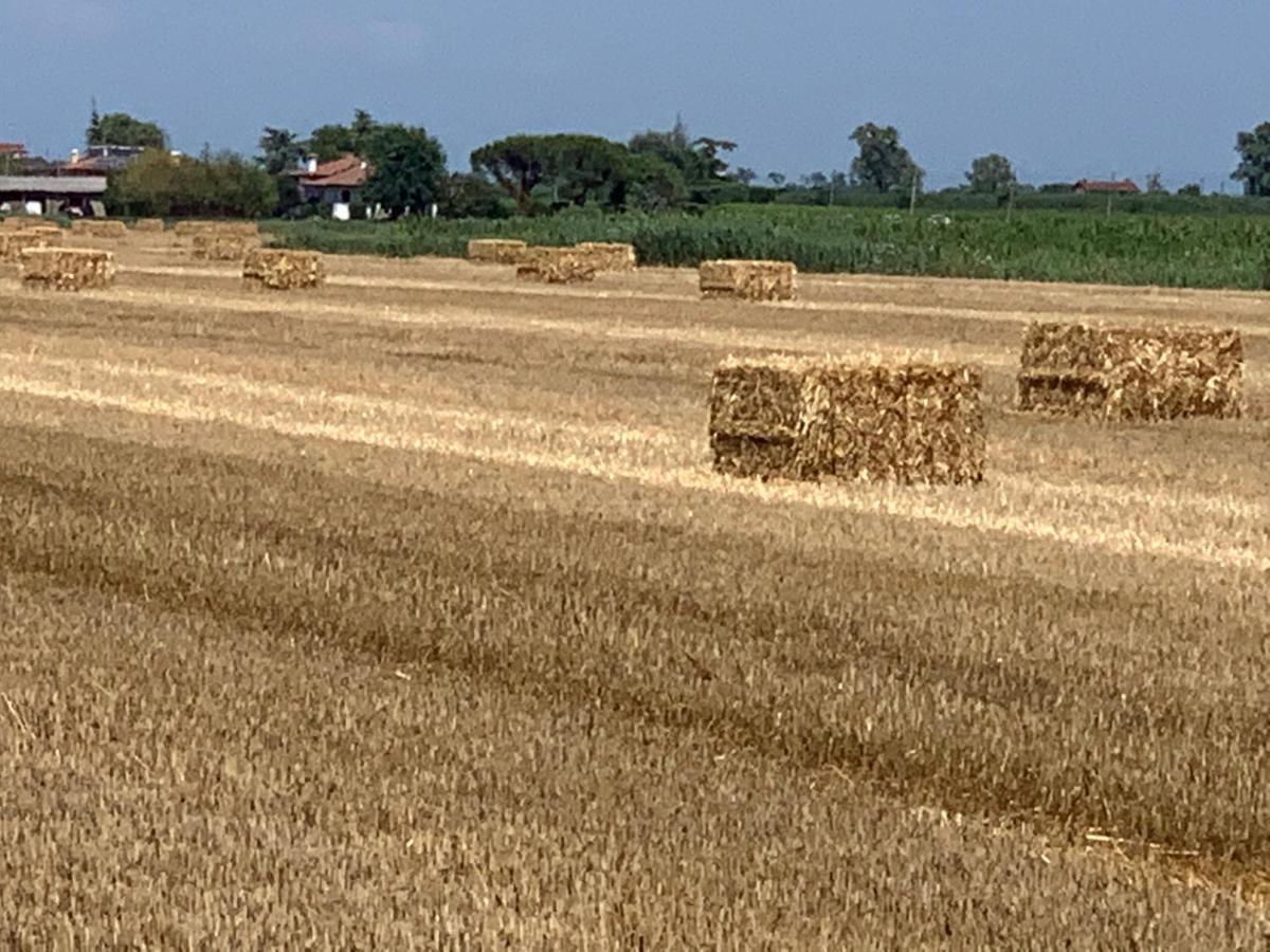 Agriturismo Ca' Alleata 카오를레 외부 사진