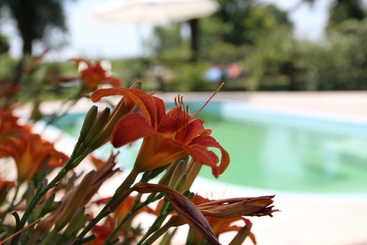 Agriturismo Ca' Alleata 카오를레 외부 사진